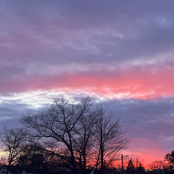 Meet your Posher, Zoey - Picture 1 of 1